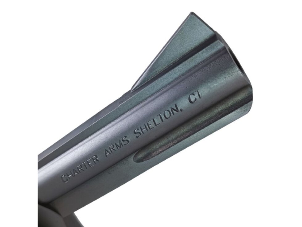 Charter Arms Police Bulldog 4,2", 38 Special, 6 nábojů, revolver