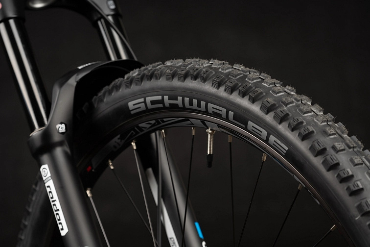 Qayron Spyro MK3 3 29" Black/Forest