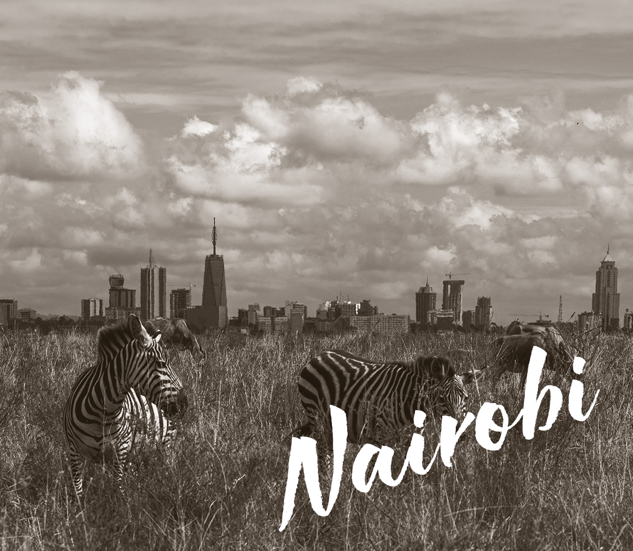 Embassy Nairobi