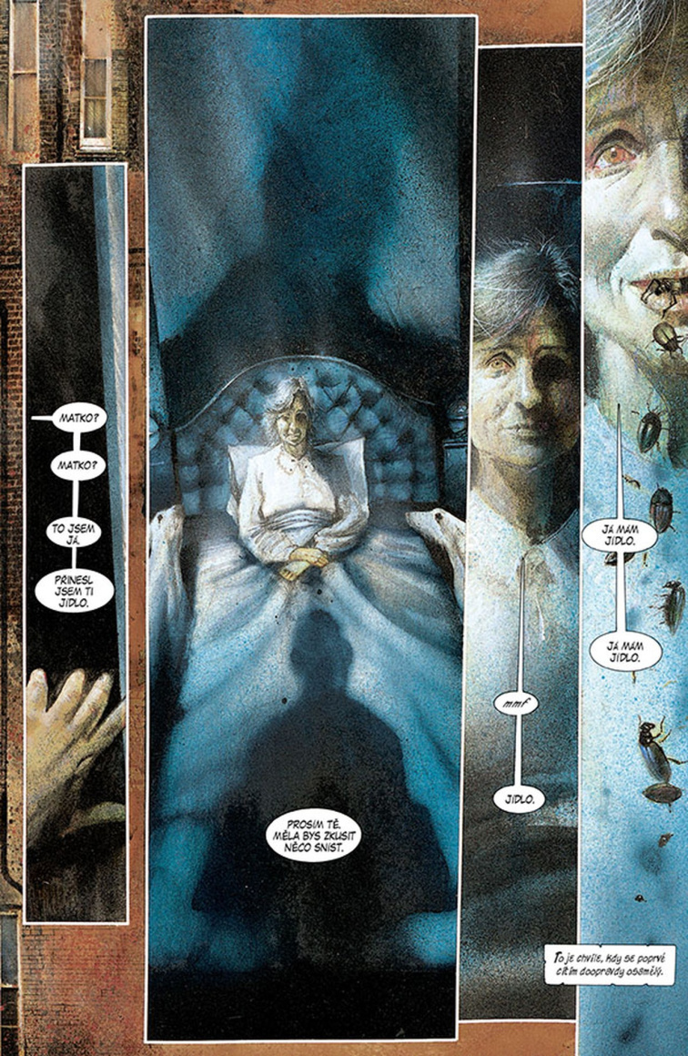 Batman: Arkham - Pochmurný dům v pochmurném světě (Legendy DC)