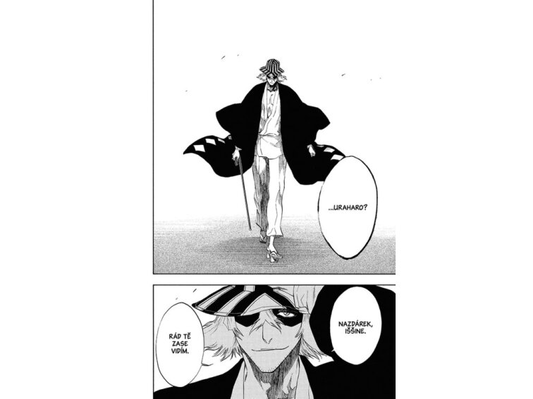 Bleach 23: Mala Suerte!