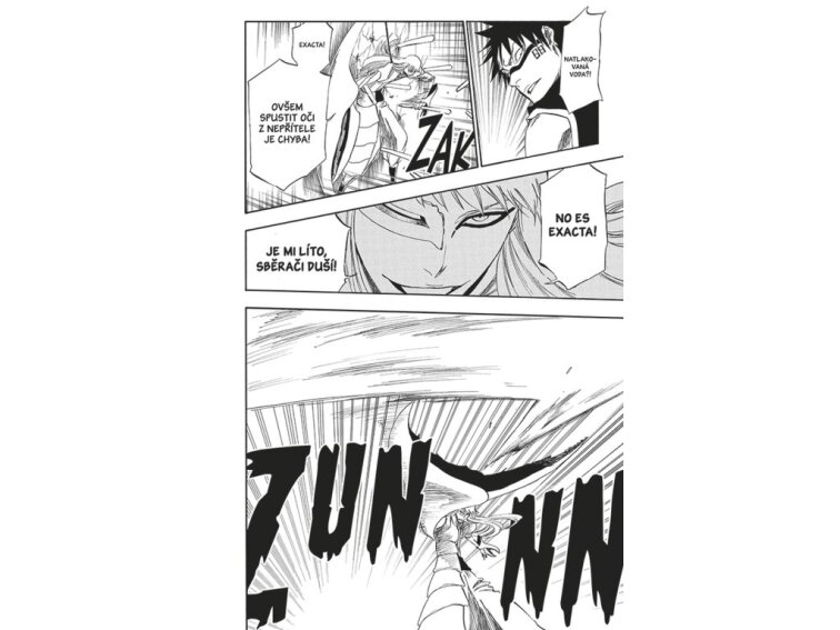 Bleach 38: Fear For Fight