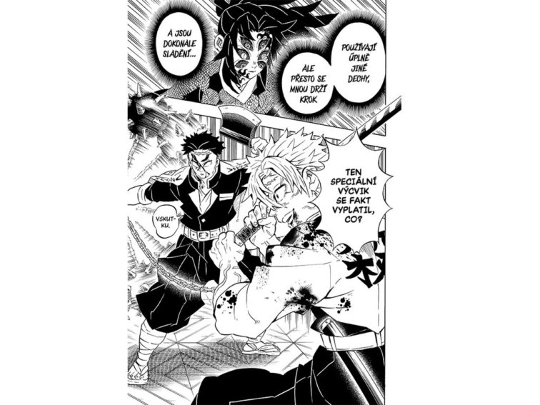 Zabiják démonů 20: Nezlomnou vůlí vstříc vítězství