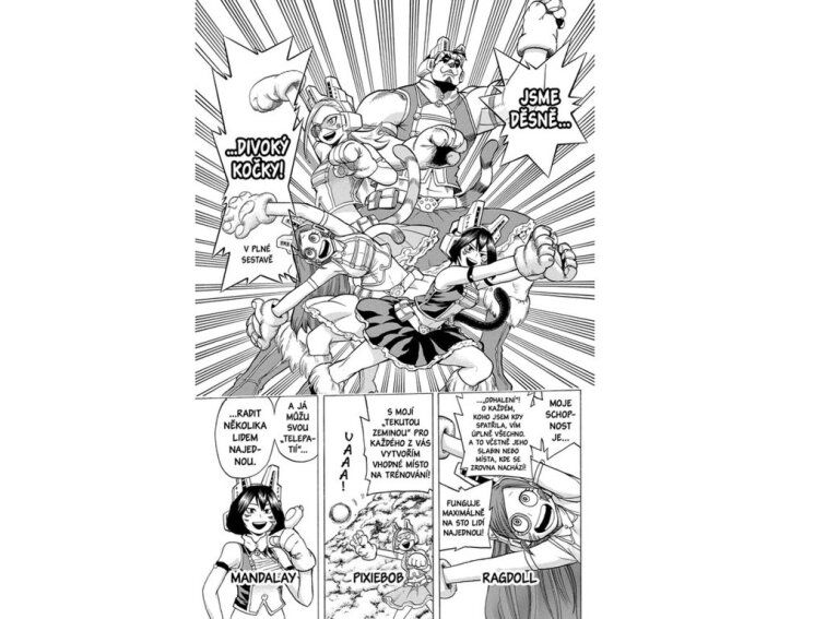 My Hero Academia - Moje hrdinská akademie 9: Můj hrdina