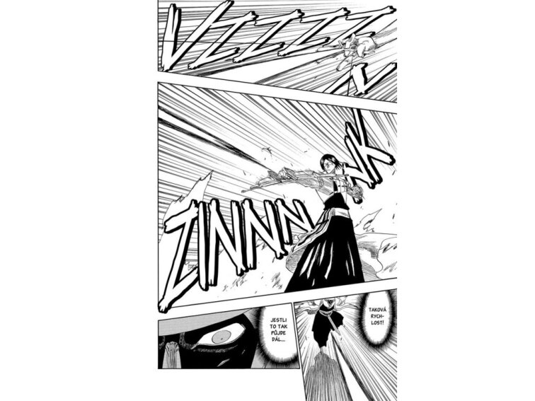 Bleach 15: Beginning of death tomorrow