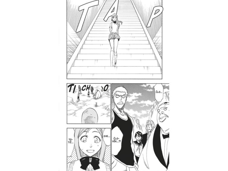 Bleach 26: The Mascaron Drive