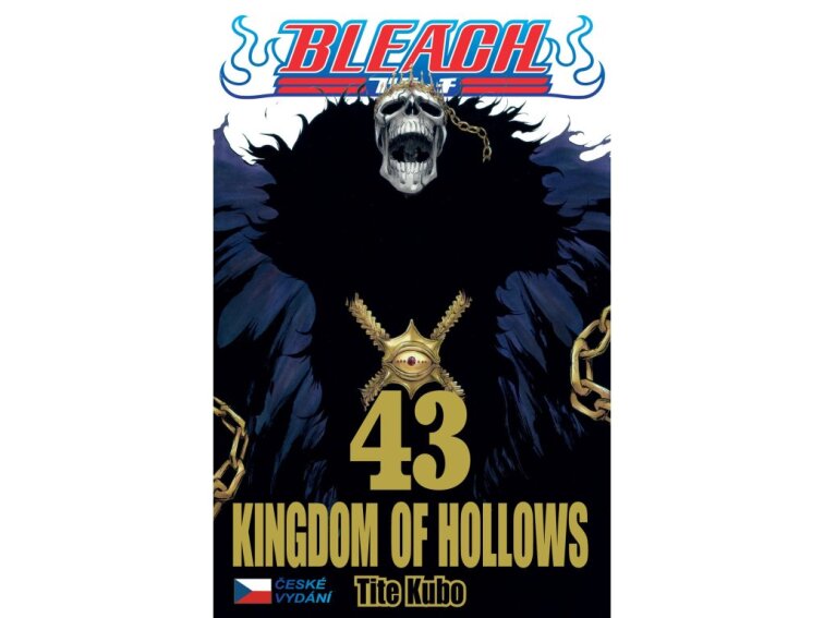 Bleach 43: Kingdom of Hollows