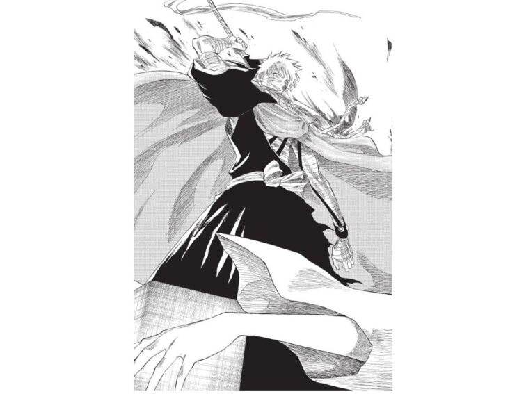 Bleach 18: The Deathberry Return