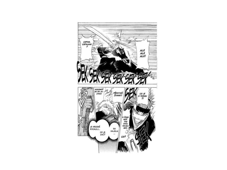 Bleach 7: The Broken Coda