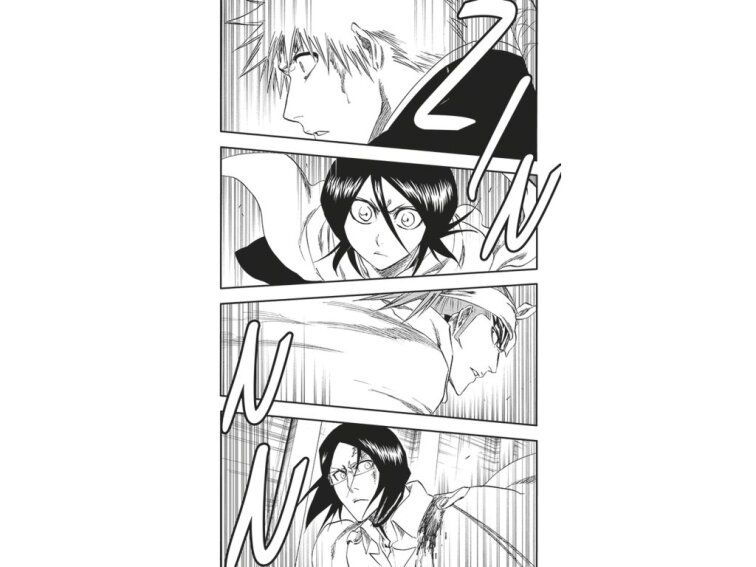 Bleach 30: There Is No Heart Without You