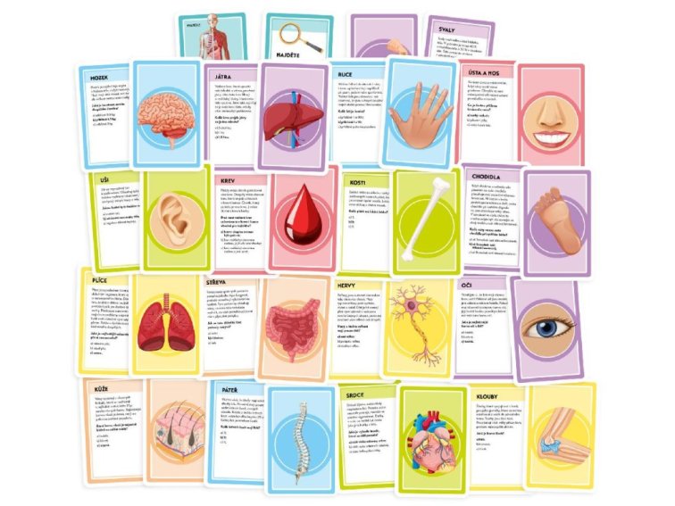 Pojďme se učit: Naše úžasné tělo