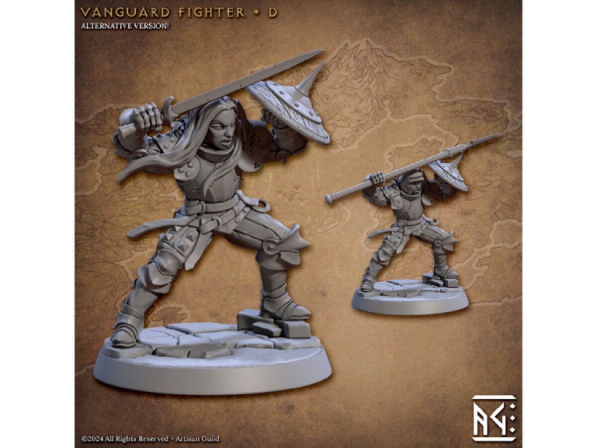 Vanguard Fighter D