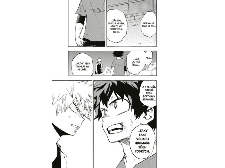 My Hero Academia - Moje hrdinská akademie 14: Overhaul