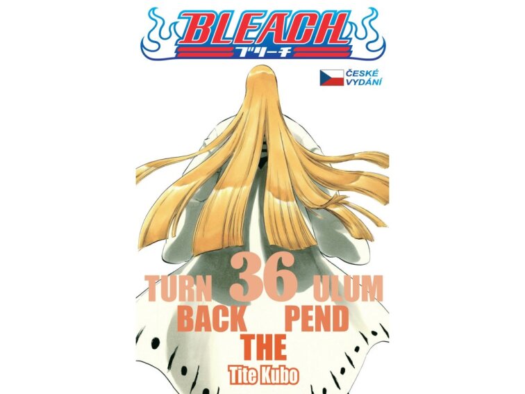 Bleach 36: Turn Back The Pendulum
