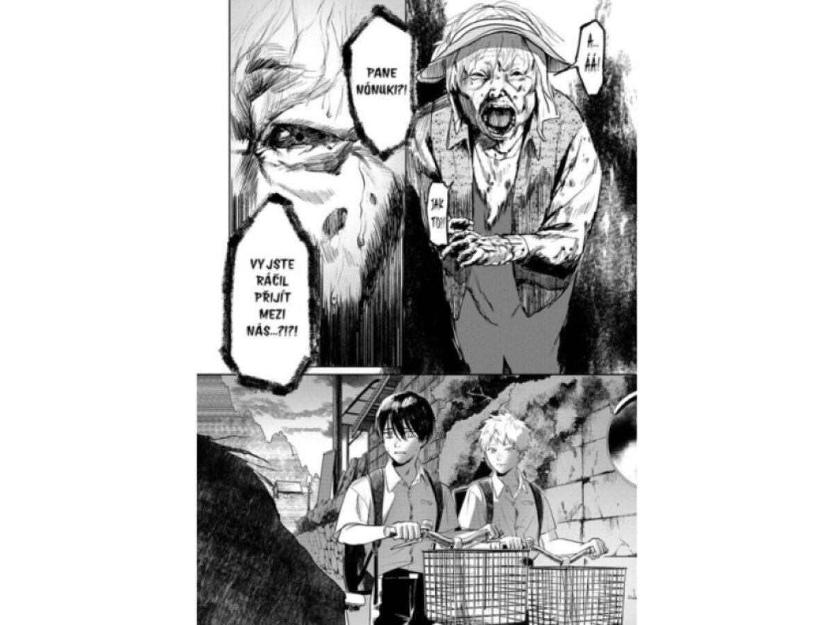 Léto, kdy umřel Hikaru 1
