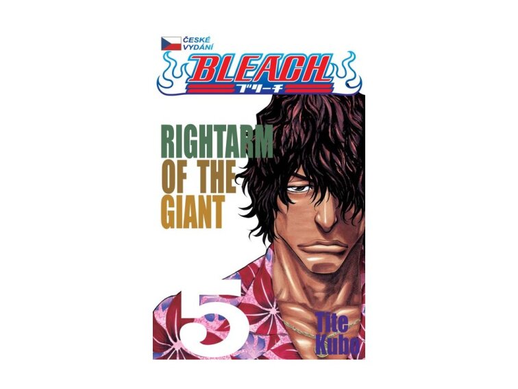 Bleach 5: Rightarm of the Giant