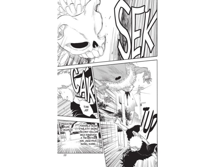 Bleach 6: The Death Trilogy Overture