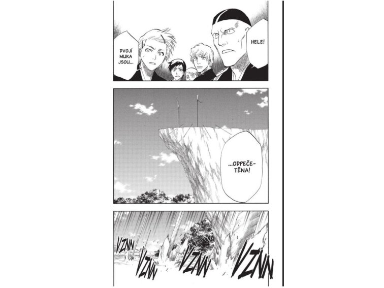 Bleach 18: The Deathberry Return