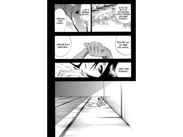 Bleach 21: Be my family or not