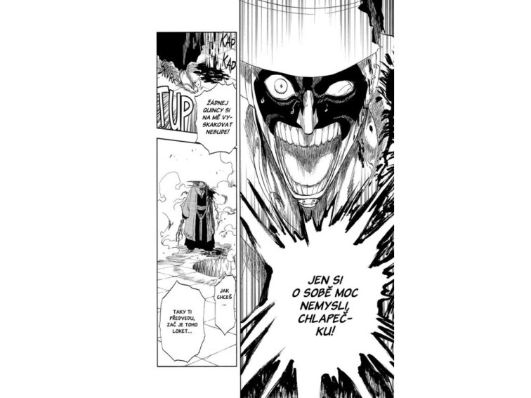 Bleach 15: Beginning of death tomorrow