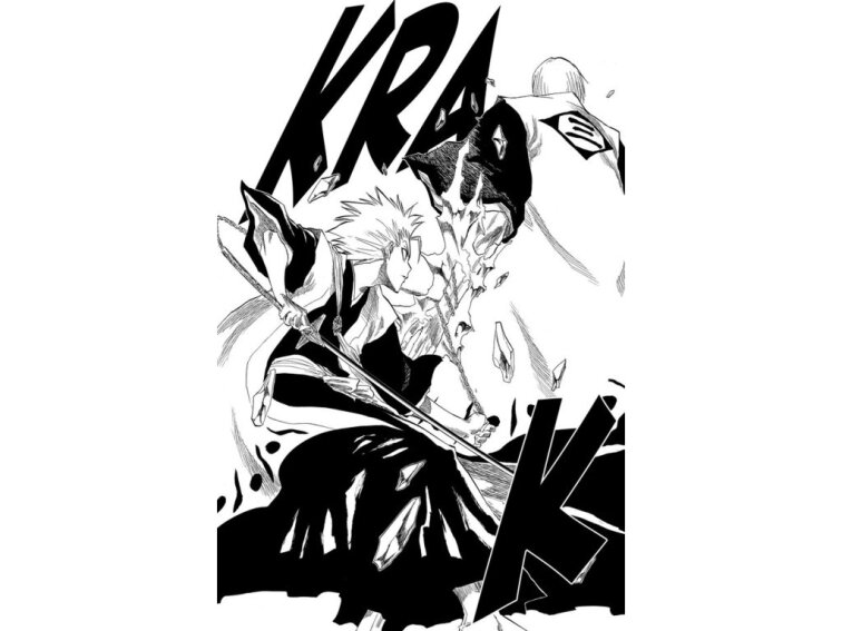 Bleach 16: Night of Wijnruit