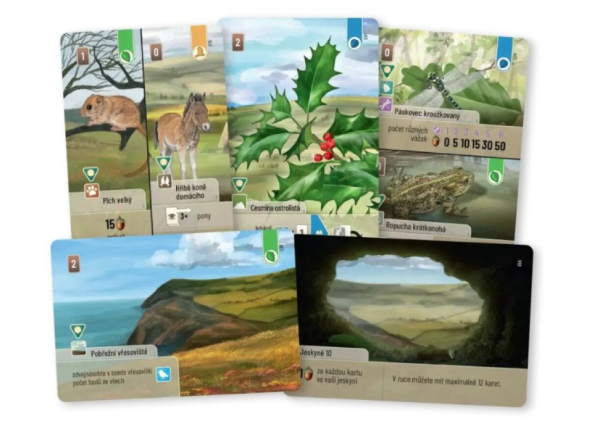 Smíšený les: Dartmoor - Exmoor