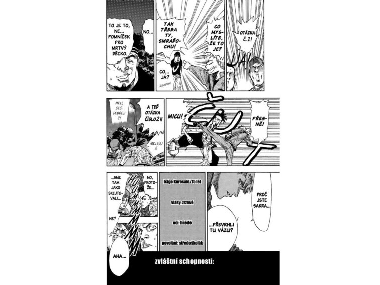 Bleach 1: The Death and the Strawberry