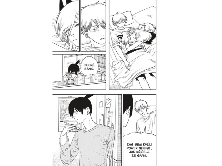 Chainsaw Man 9: Koupel