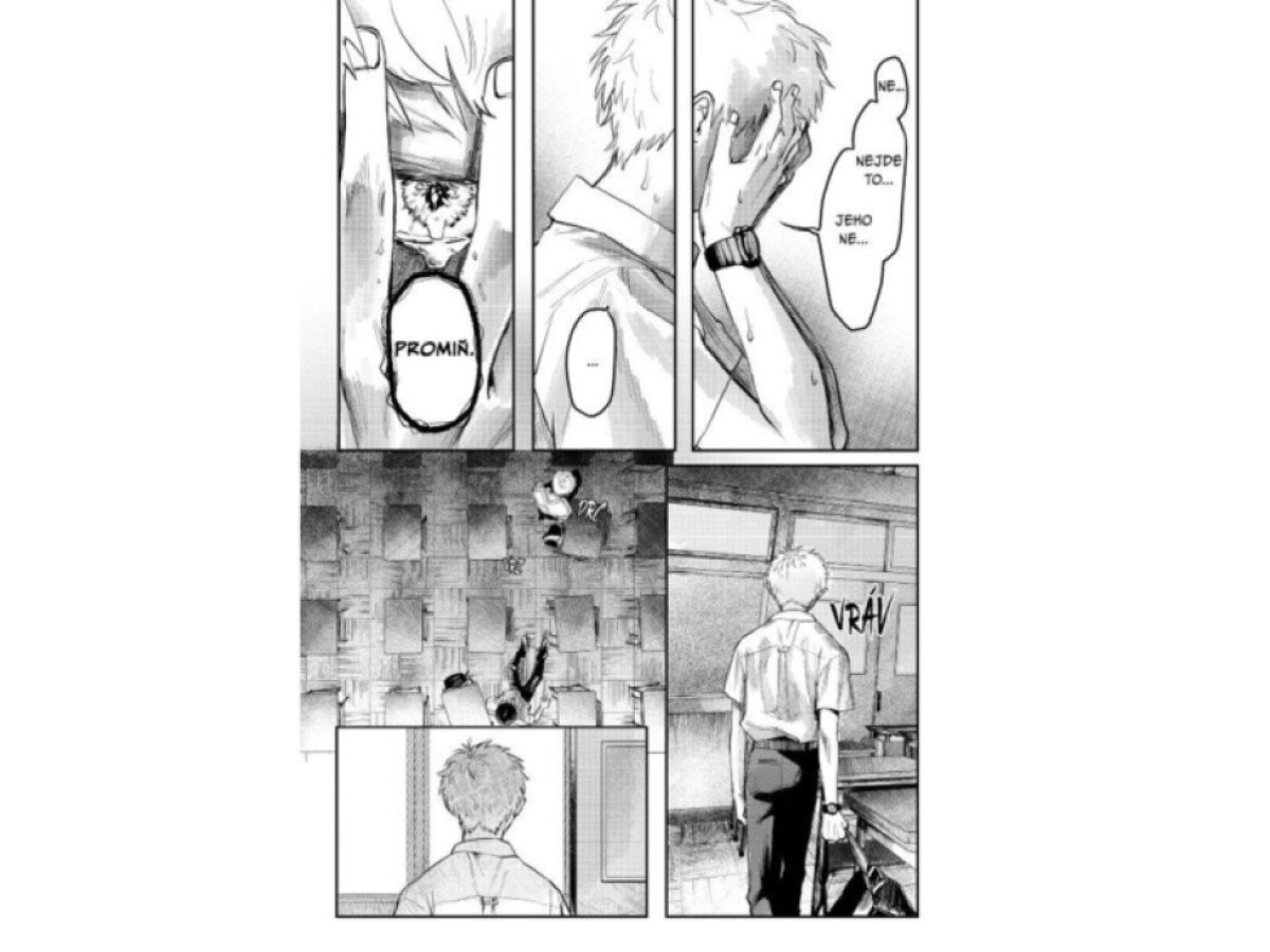 Léto, kdy umřel Hikaru 2