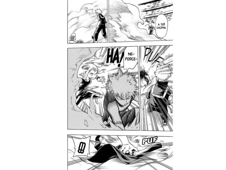 My Hero Academia - Moje hrdinská akademie 5: Šóto Todoroki: Počátek