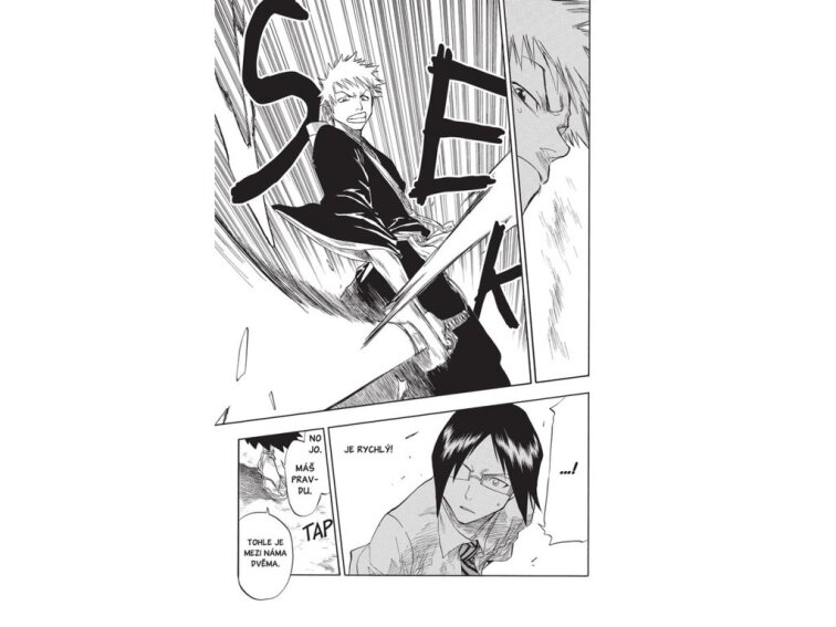 Bleach 6: The Death Trilogy Overture