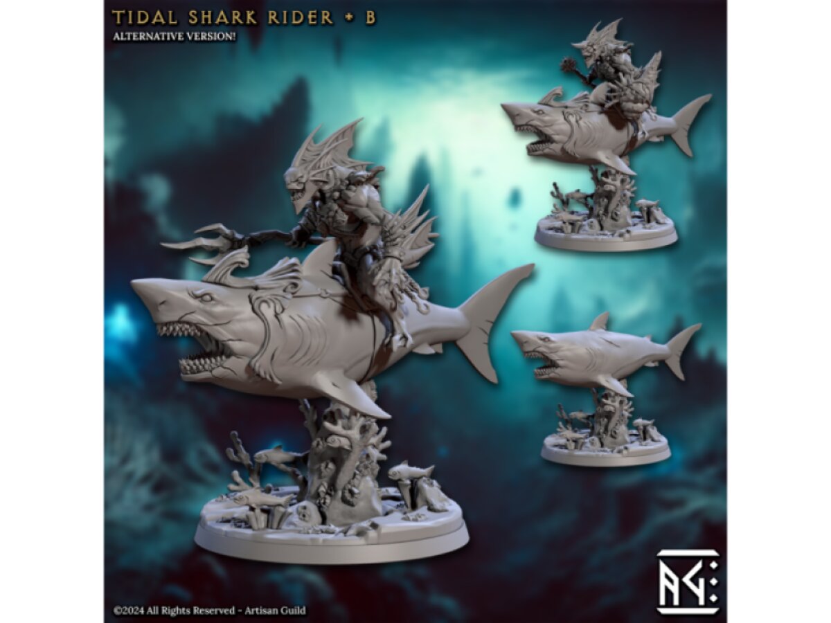 Tidal Sharks Rider B