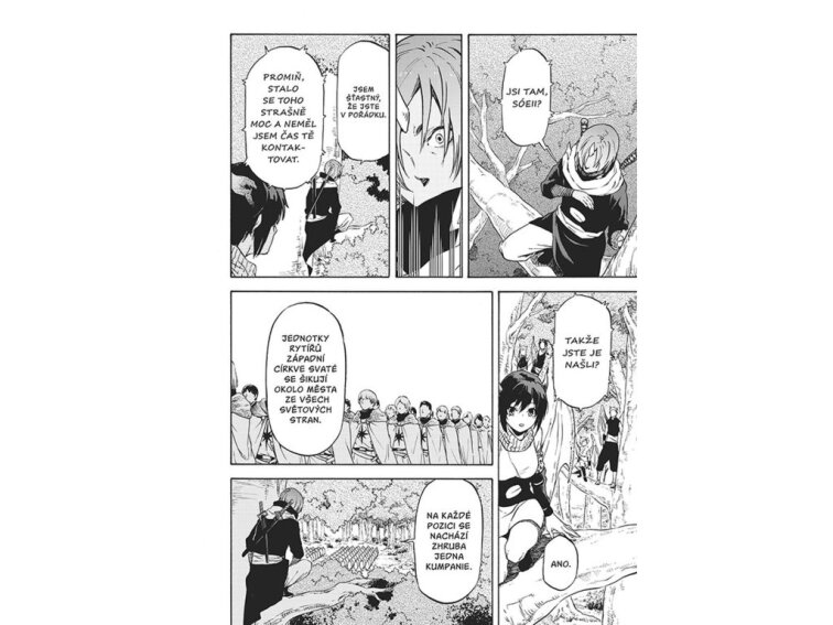 Jak jsem se reinkarnoval coby sliz 13