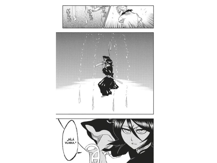 Bleach 27: Goodbye, halcyon days.