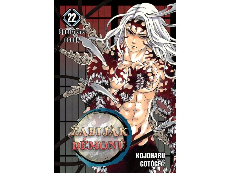 Zabiják démonů 22: Spřízněné osudy