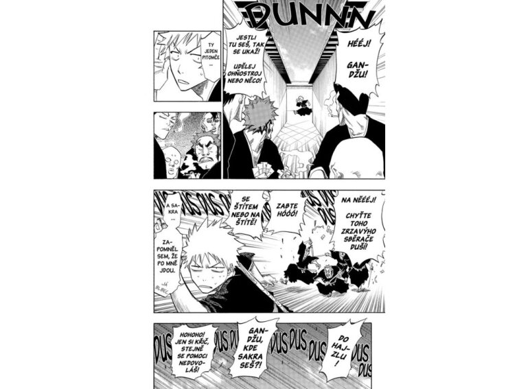 Bleach 11: A Star and a Stray Dog