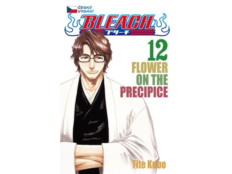 Bleach 12: Flower on the Precipice