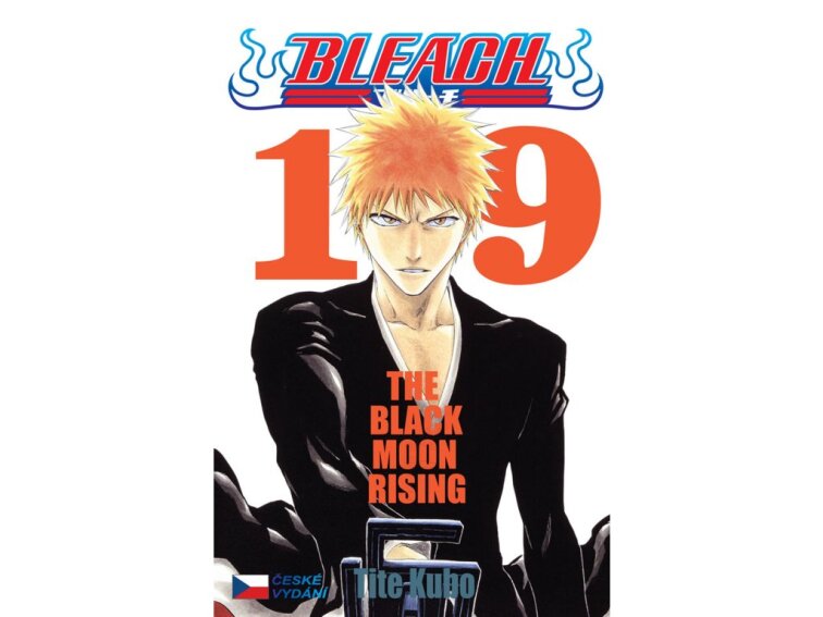 Bleach 19: Black Moon Rising