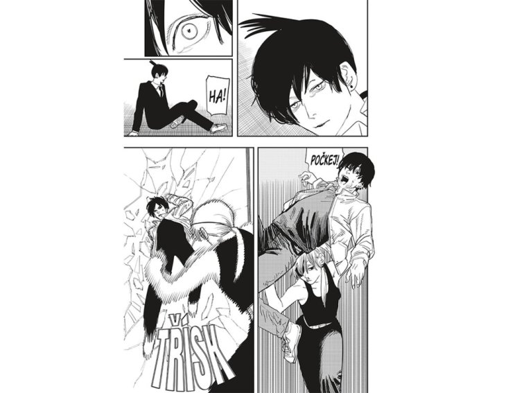 Chainsaw Man 8: Totální chaos