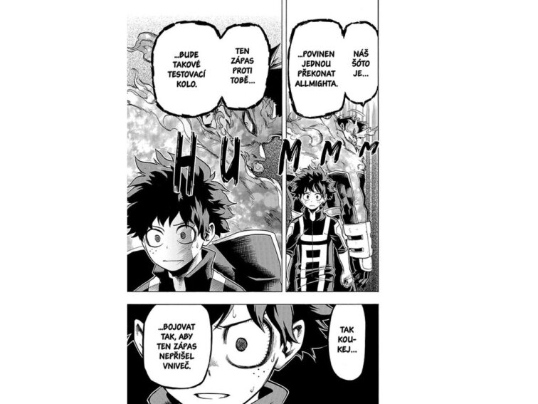 My Hero Academia - Moje hrdinská akademie 5: Šóto Todoroki: Počátek