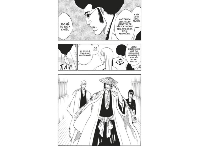 Bleach 36: Turn Back The Pendulum