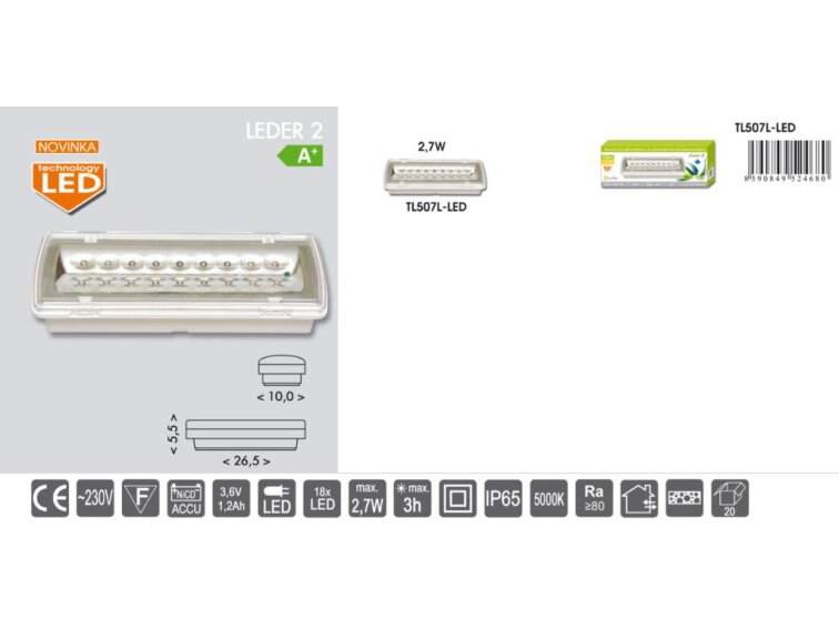 Venkovní LED nouzové svítidlo LEDER 2 3h studená bílá IP65 TL507L-LED