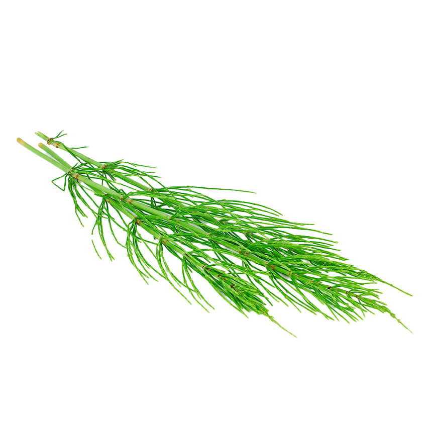 HAIR BOOSTER 2.0 Doplněk stravy