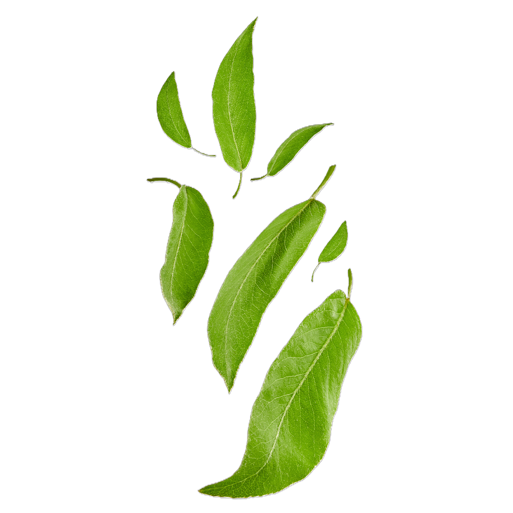 GREEN TEA APPLE LIME Tělový balzám