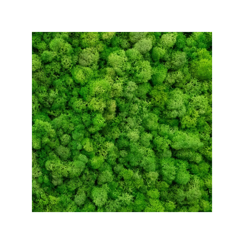 GREEN TEA APPLE LIME Tělový balzám