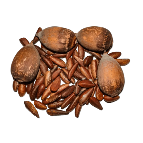 DEFENCE Jemná čistící pěna