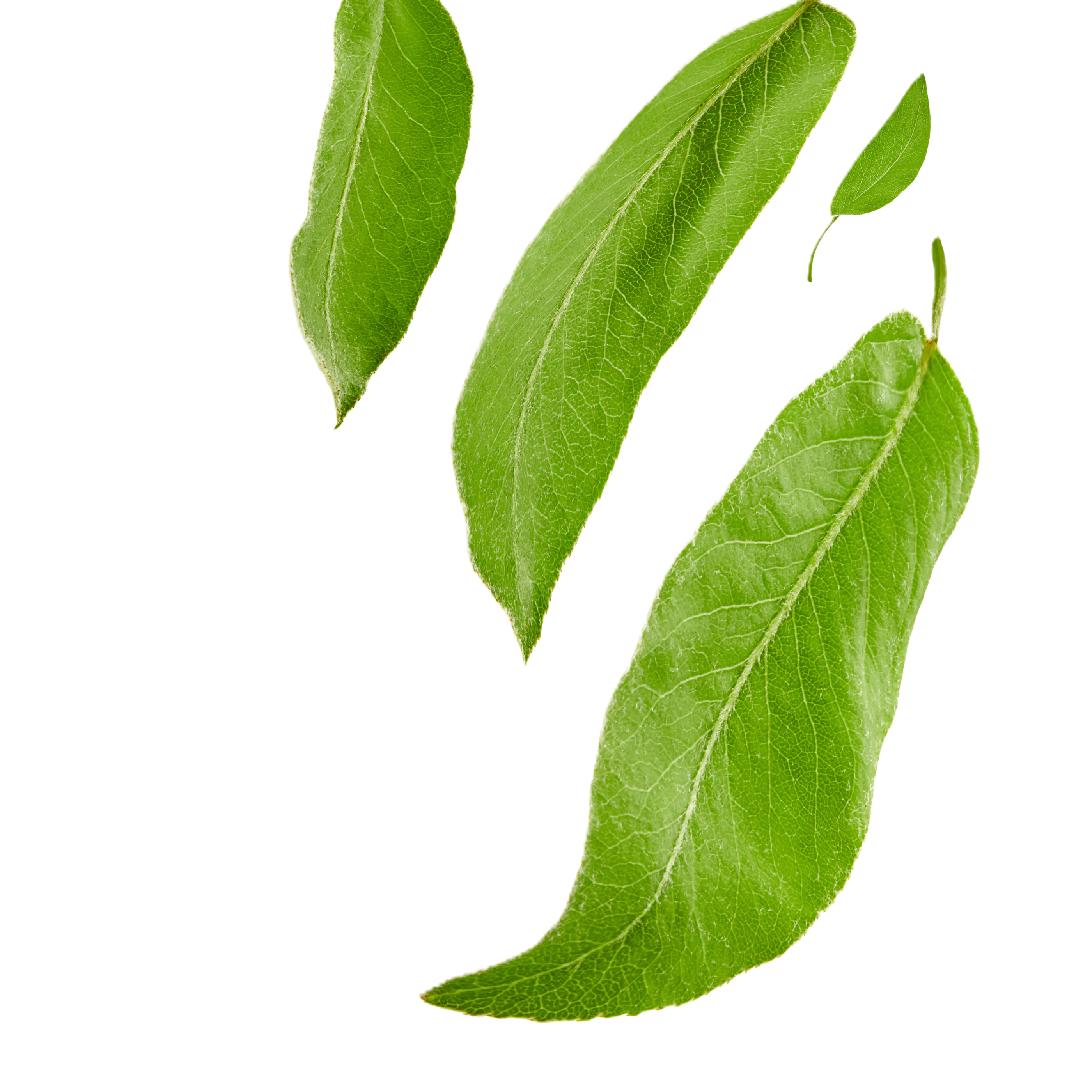 MOOD BOOSTER Doplněk stravy