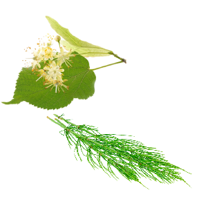 GREEN TEA Kondicionér