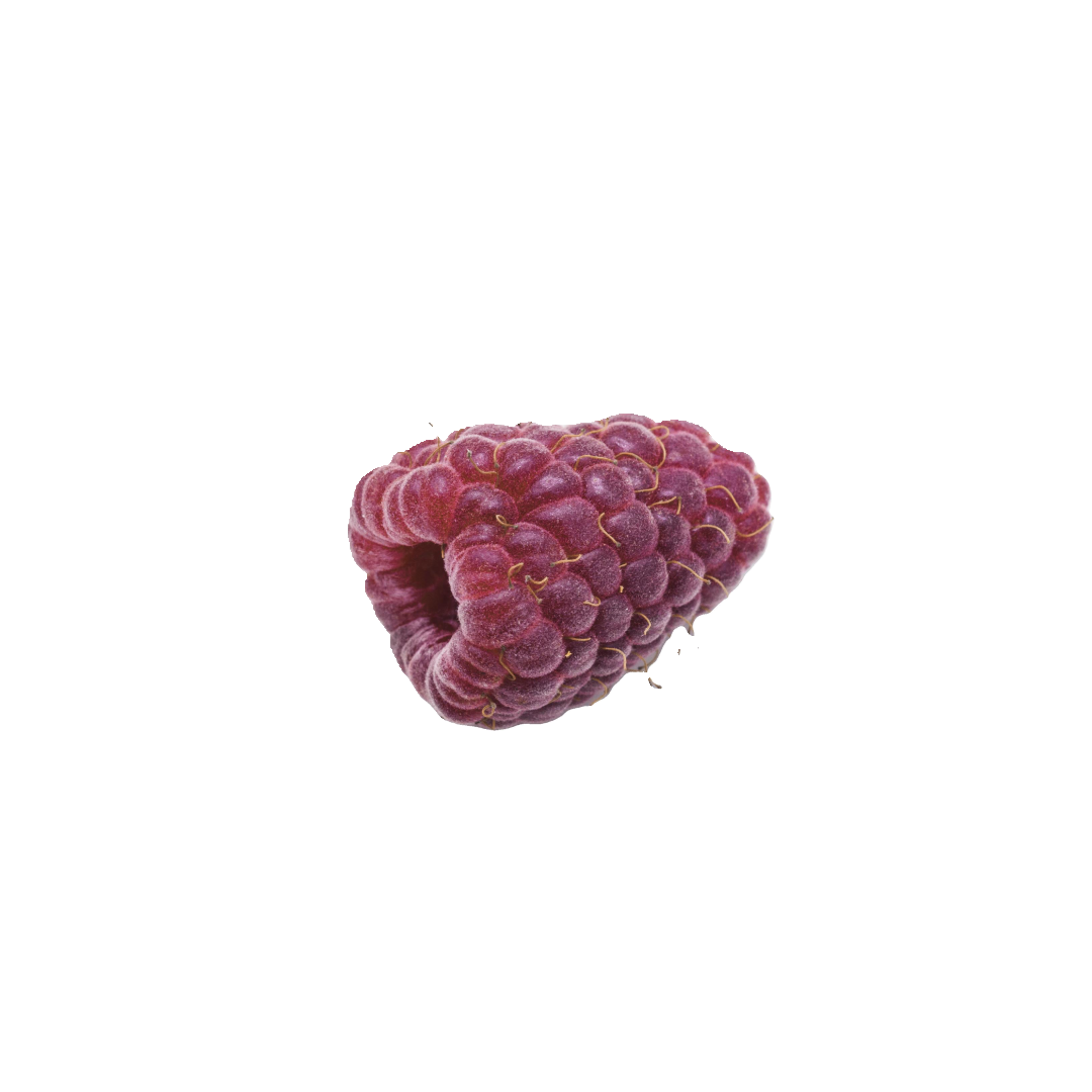 ROSE RASPBERRY OUD Dárková kazeta