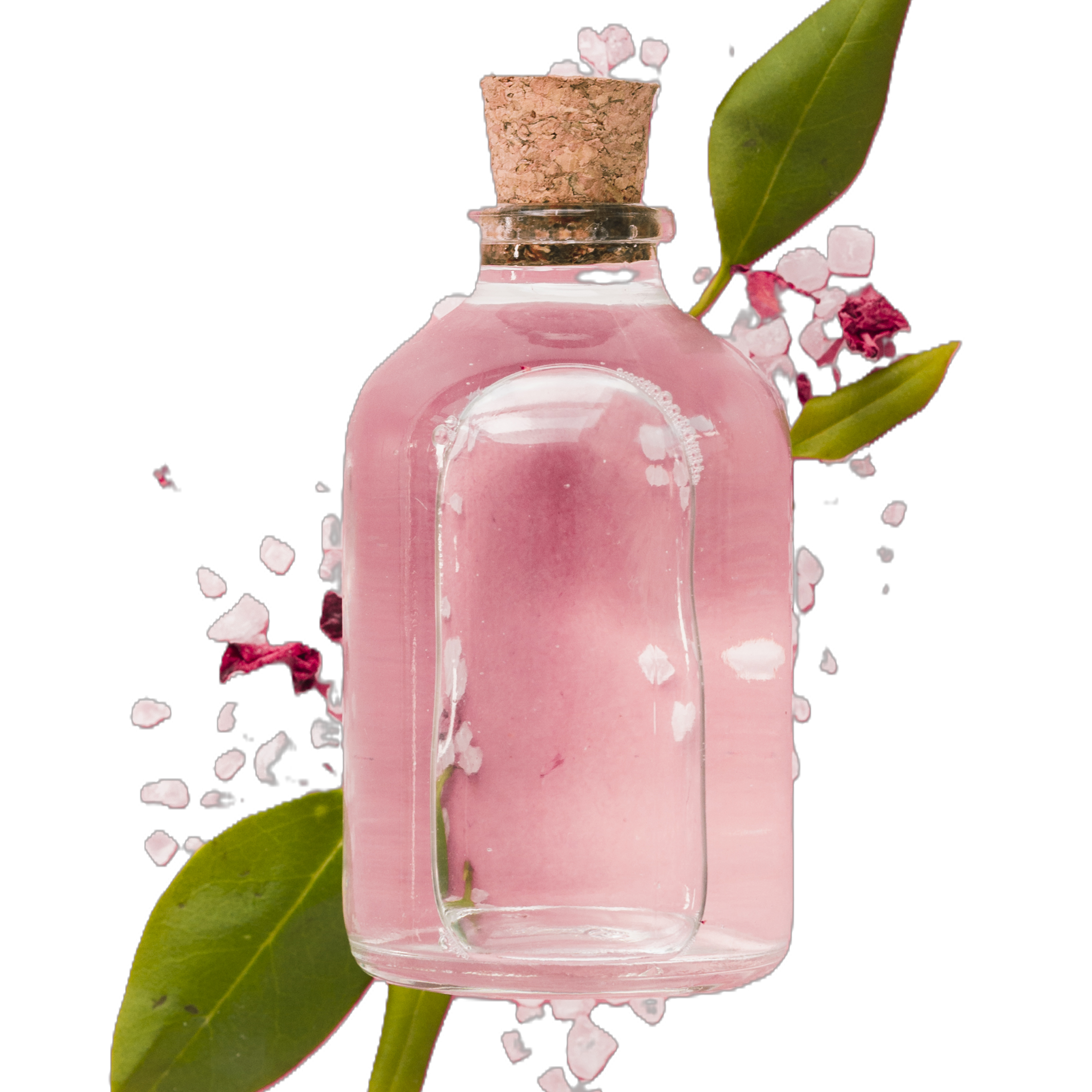 BACK2BASICS pH9 Šampon